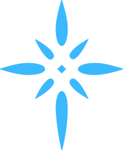 CHIEF INFORMATION OFFICER