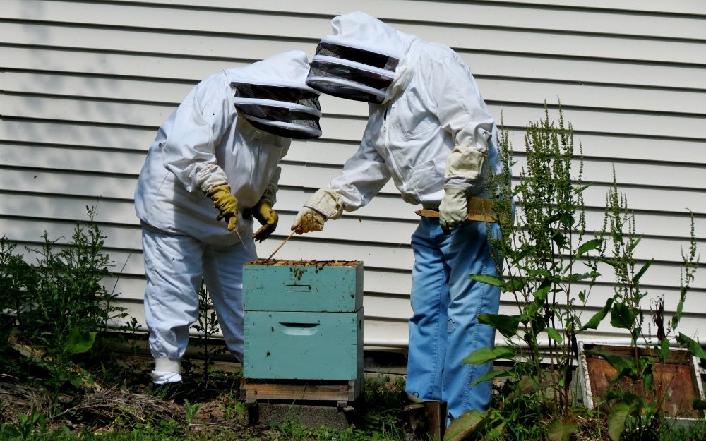 Sister Helen Therese Scasny, SC, and her community of bees raise money for Light of Hearts Villa fund